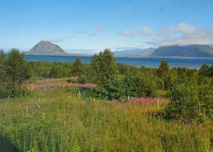Med Utsikt Mot Fjellet Hoven Holiday home Smedvik